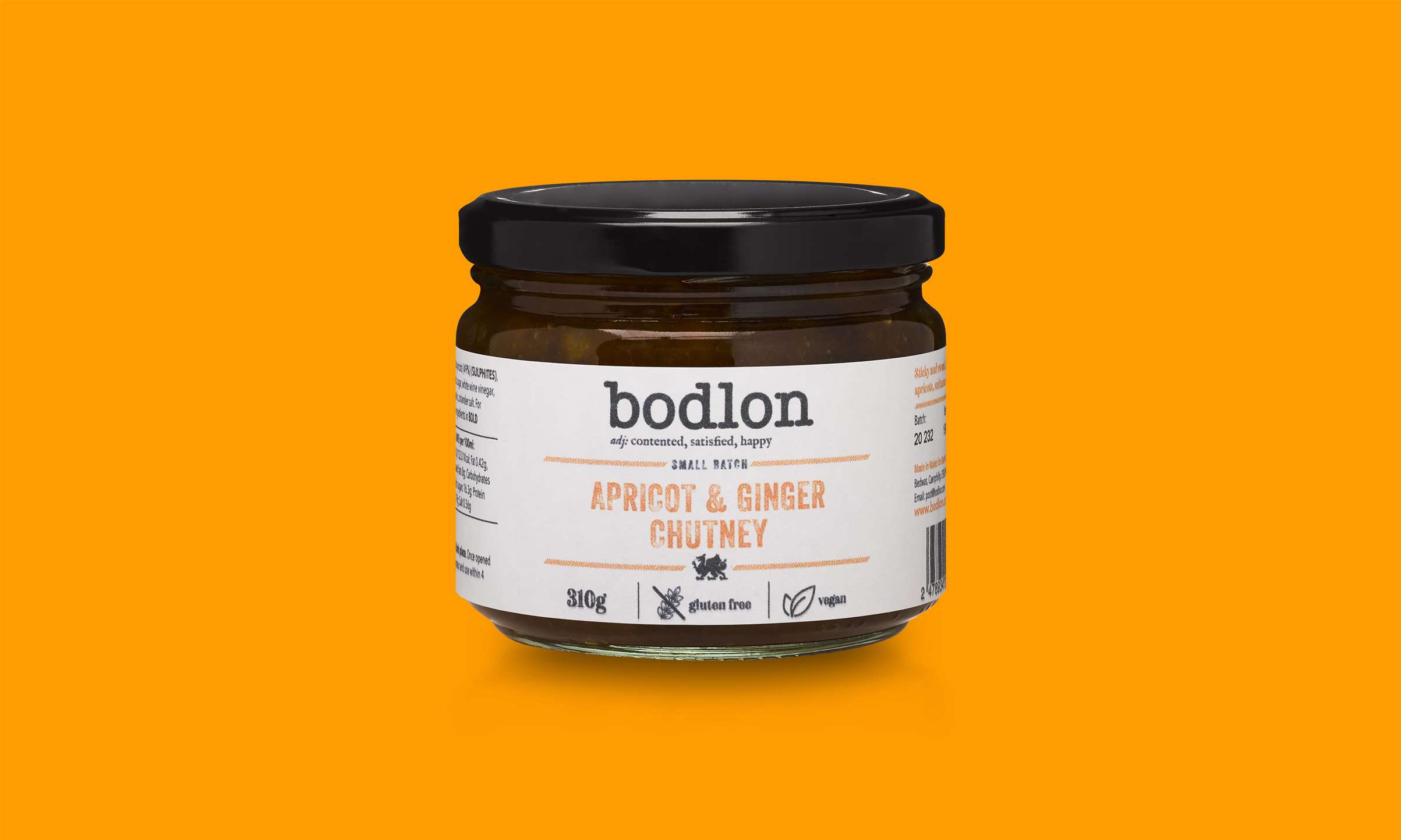 slideshow0004VectorSmartObject