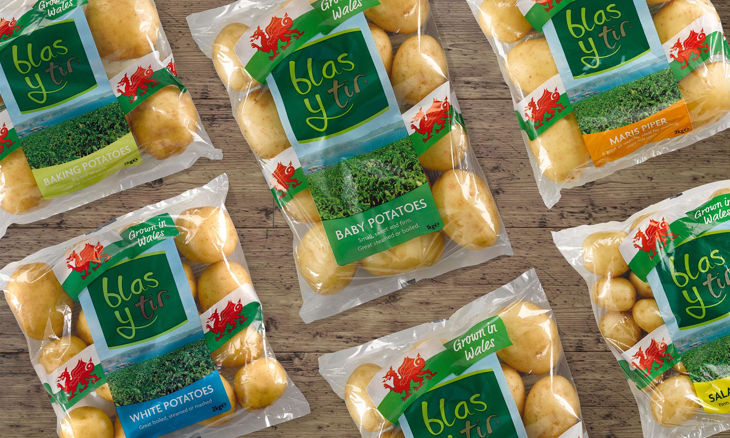 slideshow0004VectorSmartObject