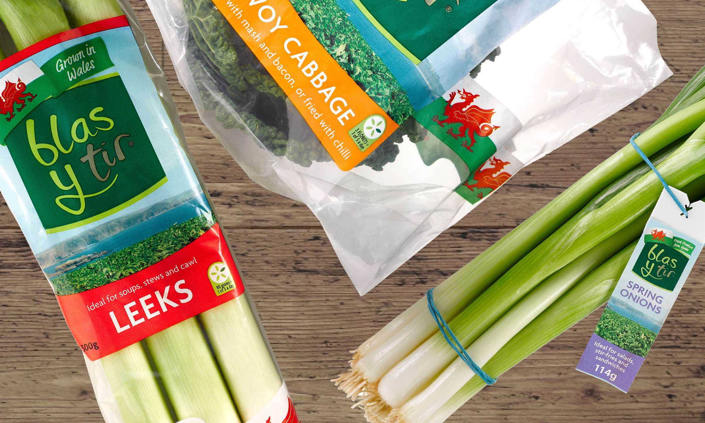 slideshow0004VectorSmartObject