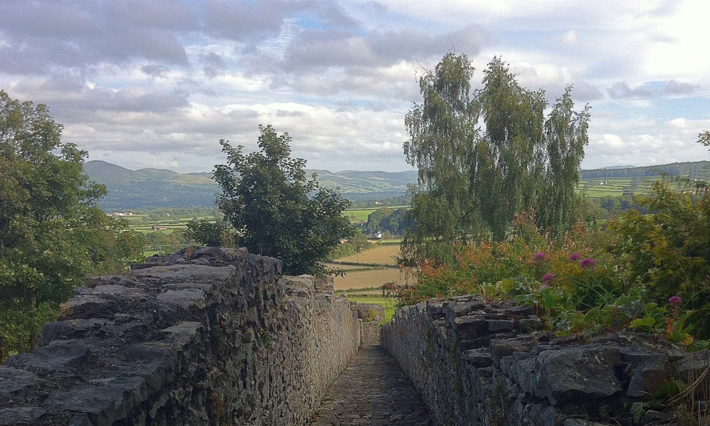 slideshow0004VectorSmartObject