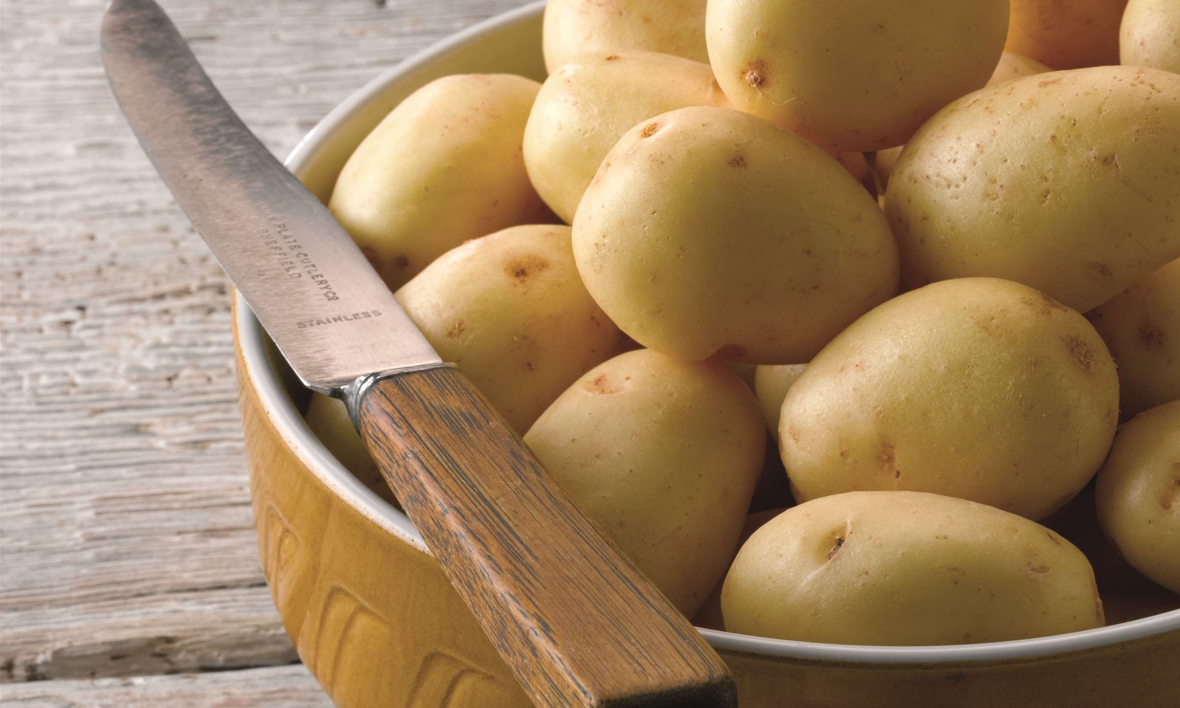 slideshow0004VectorSmartObject