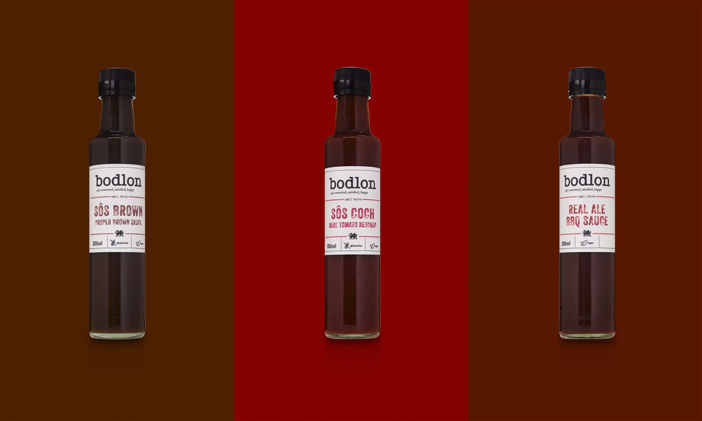 slideshow0004VectorSmartObject