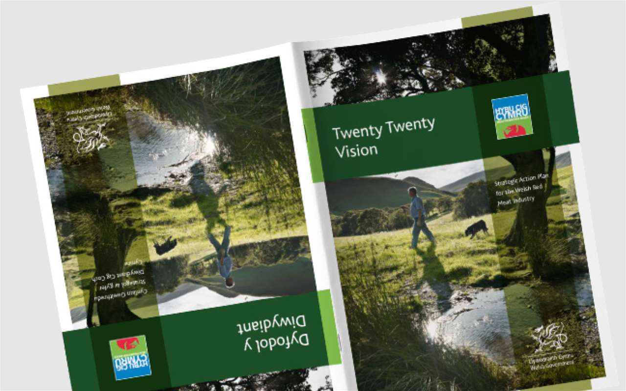 Marketing & corporate communications